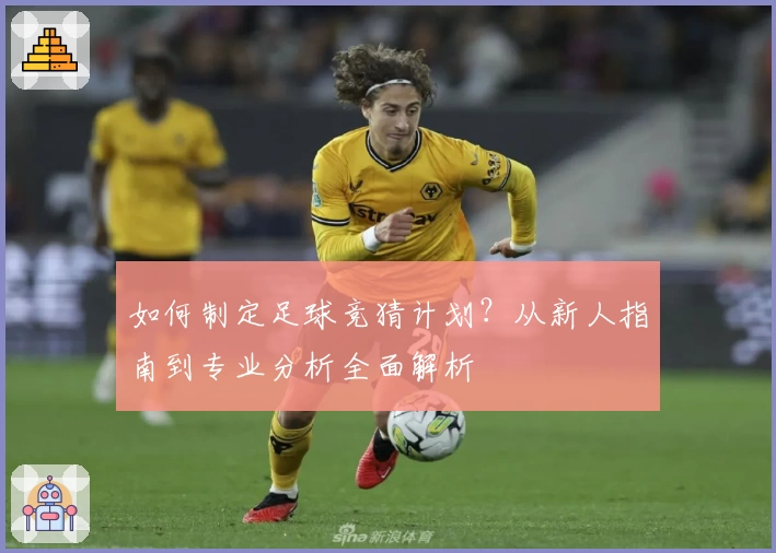 如何制定足球竞猜计划？从新人指南到专业分析全面解析