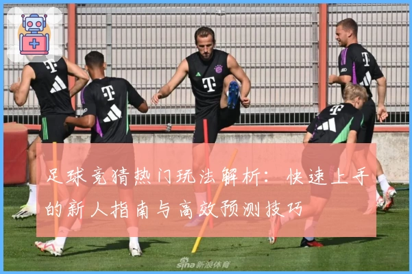 足球竞猜热门玩法解析：快速上手的新人指南与高效预测技巧