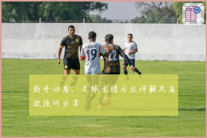 新手必看：足球竞猜方法详解及高效技巧分享