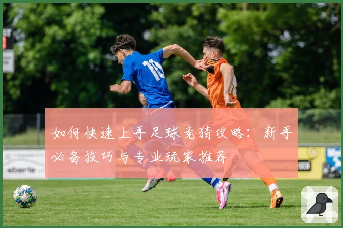 如何快速上手足球竞猜攻略：新手必备技巧与专业玩家推荐