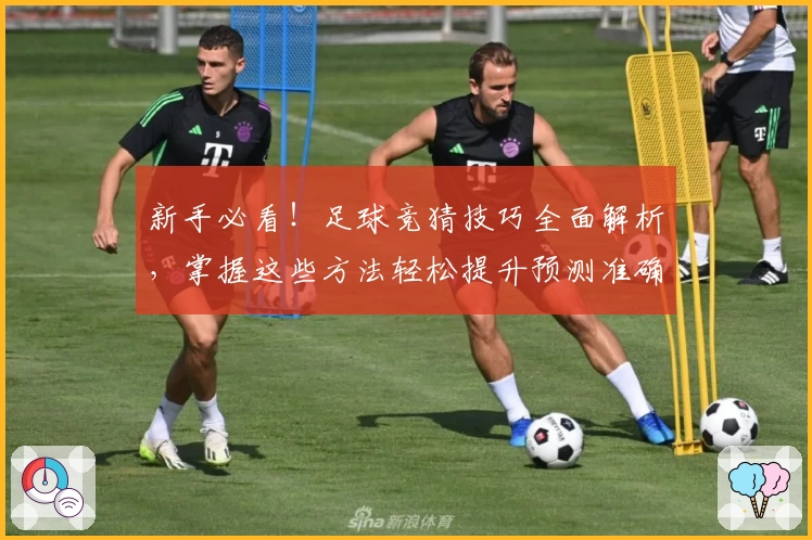 新手必看！足球竞猜技巧全面解析，掌握这些方法轻松提升预测准确率